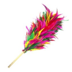 Plumero de gallo